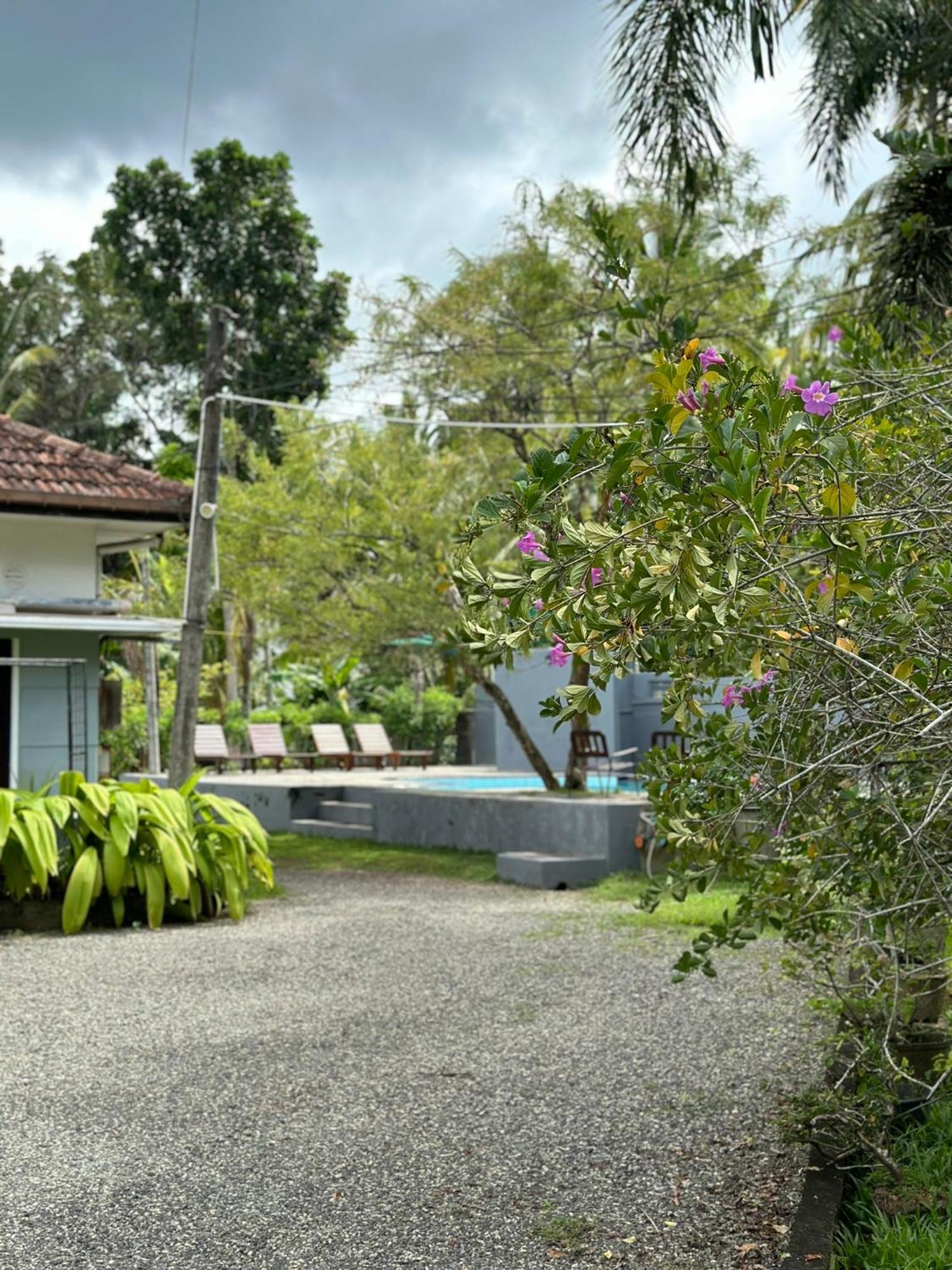 Mango Tree Villa Unawatuna Exterior foto